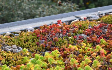 the cost of Kerdiston green roof installation